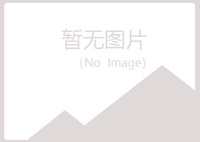 桃山区松手会计有限公司